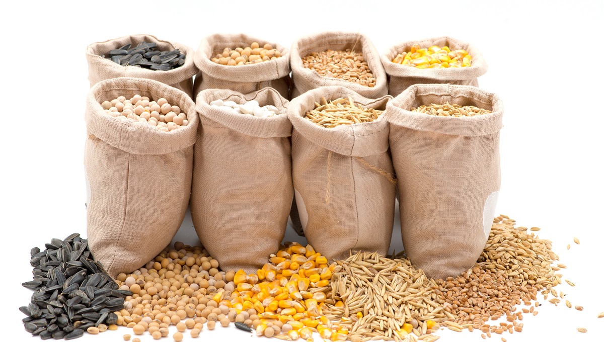 Cereals Icon