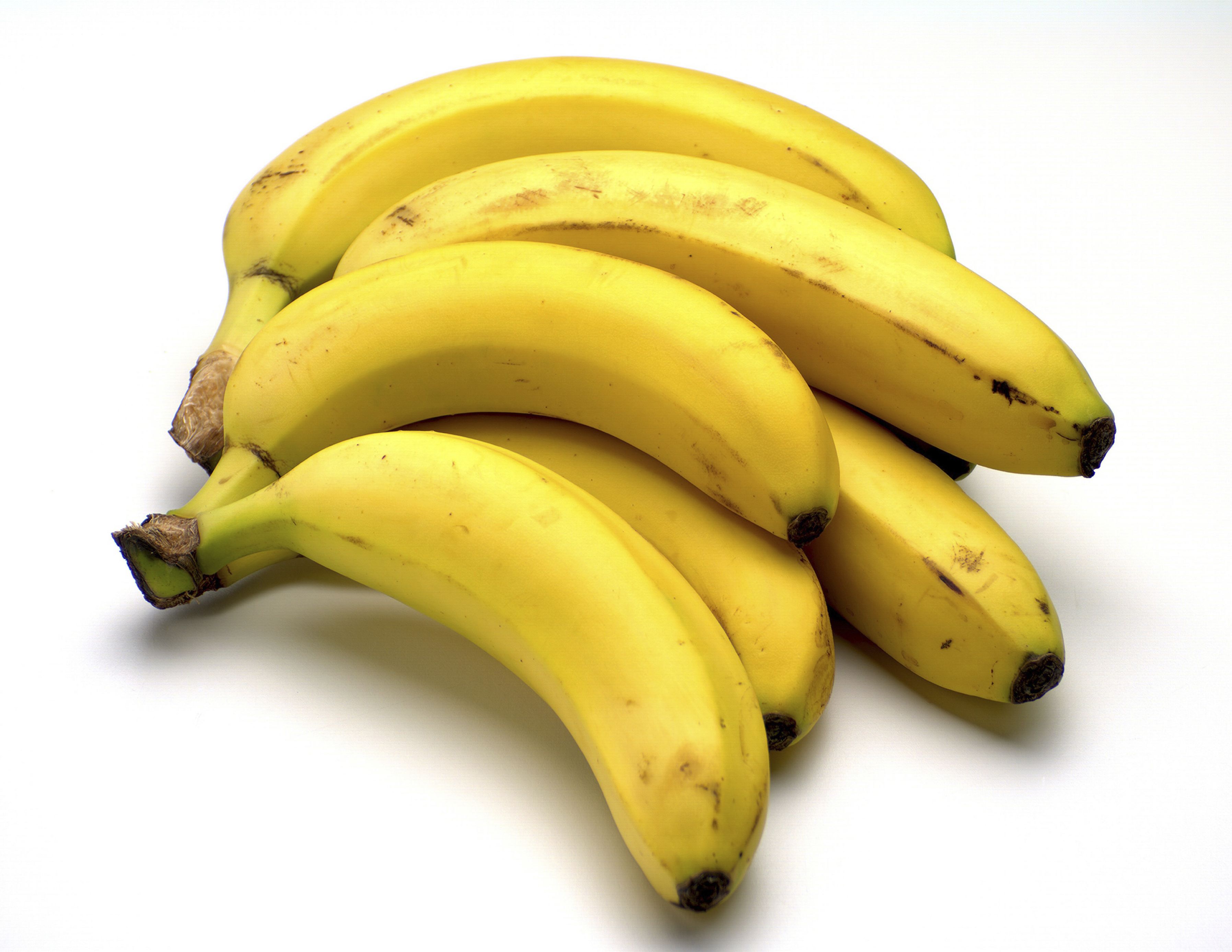 Fruits Icon