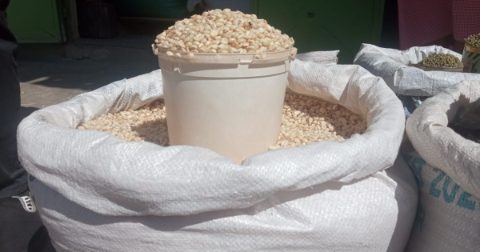 Maize Grains Image