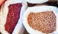 Beans Image