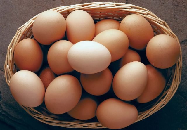 Brown Eggs Image