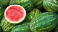 Watermelon Image