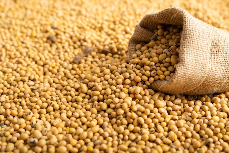 Soya Beans Image