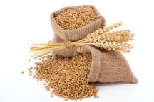 Wheat Image