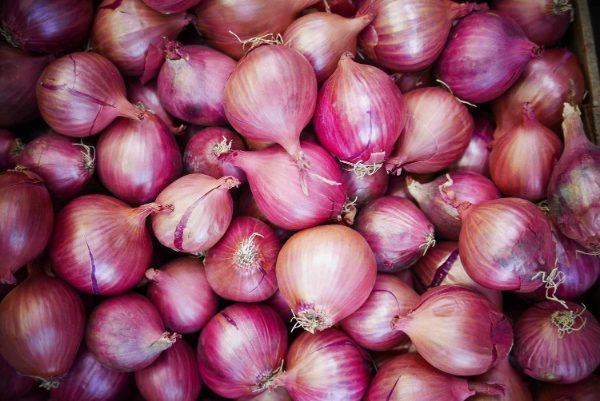 Onions Image