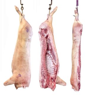 Pork Image